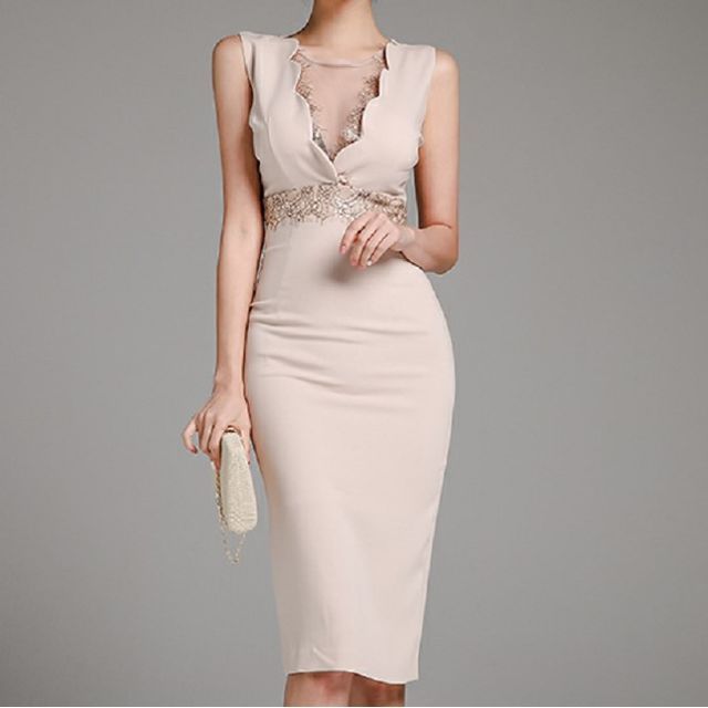 Bornite - Sleeveless V-Neck Mesh Panel Lace Trim Pencil Dress | YesStyle