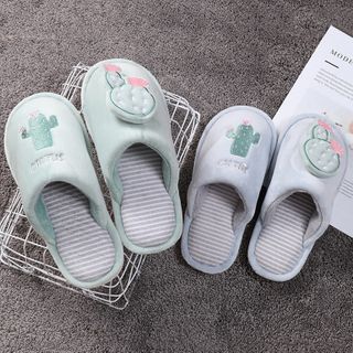 cactus slippers