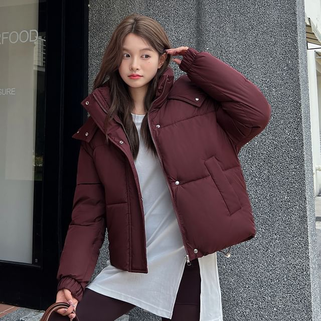 Sienne-Stand Collar Plain Hood Zip Puffer Jacket