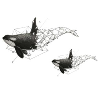 Tattoofield-Whale Waterproof Temporary Tattoo