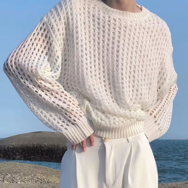 Lingaris-Crew Neck Plain Pointelle Knit Sweater