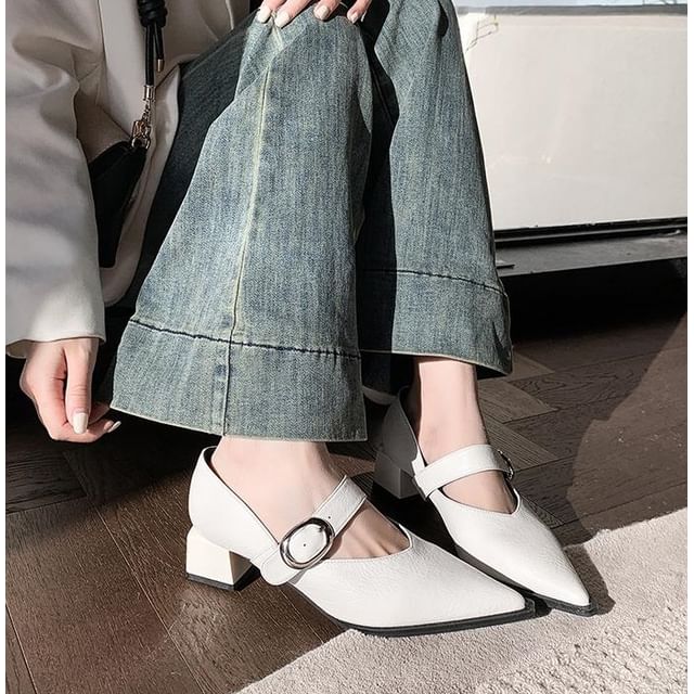Anjay-Pointed Toe Block Heel Mary Jane Pumps