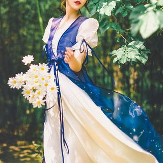 starry mesh dress Starry Mesh Overlay Short Sleeve Party Dress