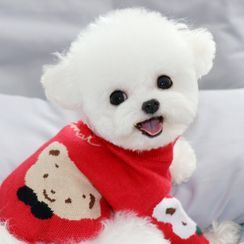Bixin - Bear Knit Pet Top Bixin - Bear Knit Pet Top