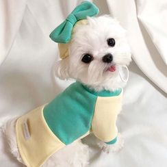 Bixin - Set: Color Panel Pet Top + Bow-accent Hat Bixin - Set: Color Panel Pet Top + Bow-accent Hat