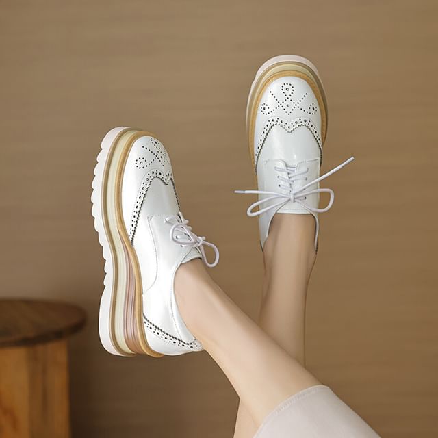 JY Shoes Wingtip Platform Brogue Lace Up Shoes YesStyle