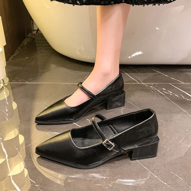 Nikao-Pointy Chunky Heel Mary Jane Shoes