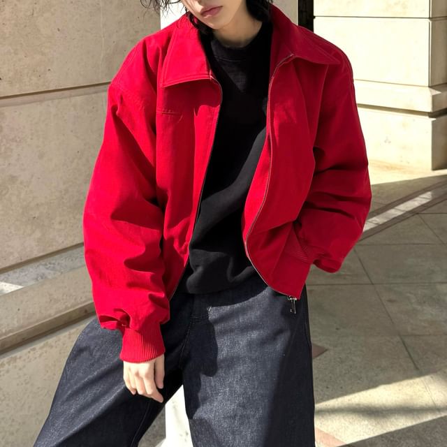 DragonRoad-Collared Zip-Up Plain Jacket