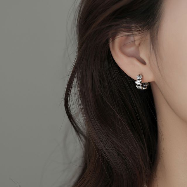 Toinianimos-Metal Hook Earring