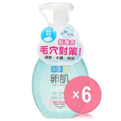 Rohto Mentholatum - Hada Labo AHA+BHA Face Foam Peeling (x6) (Bulk Box)