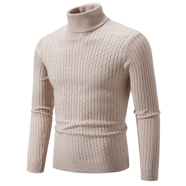 Aozora-Turtleneck Plain Cable Knit Sweater