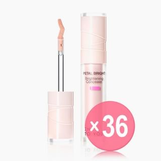 INTO YOU - Brightening Concealer - 2 Colors (x36) (Bulk Box)