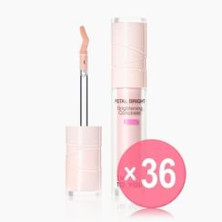 INTO YOU - Brightening Concealer - 2 Colors (x36) (Bulk Box)