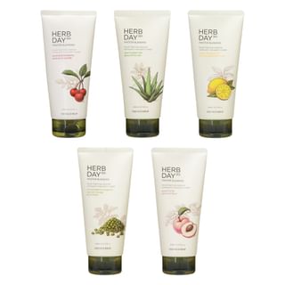 THE FACE SHOP - Herb Day 365 Master Blending Cleansing Foam - 5 Types