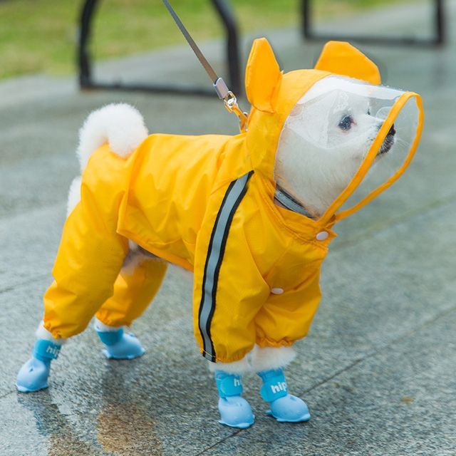 2night-Raincoat Pet Overall
