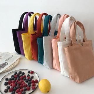 plain lunch bag