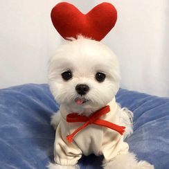 Bixin - Heart Hooded Pet Top Bixin - Heart Hooded Pet Top