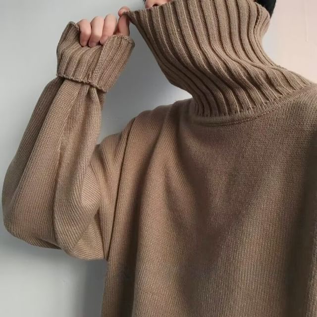 Urtishia-Long-Sleeve Turtleneck Plain Sweater
