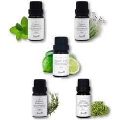 Aster Aroma - Organic Essential Oil 10ml - 5 Types Aster Aroma - Organic Essential Oil 10ml - 5 Types