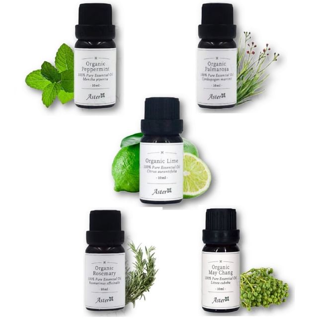 Aster Aroma-Organic Essential Oil