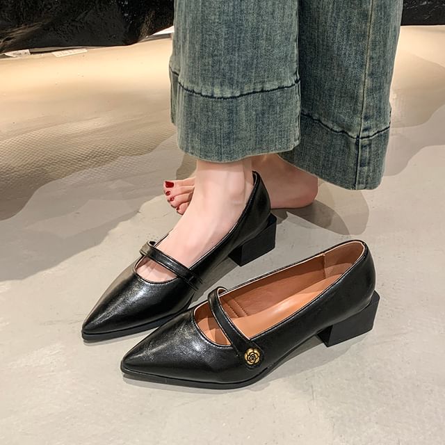 Nikao-Pointy Chunky Heel Mary Jane Shoes