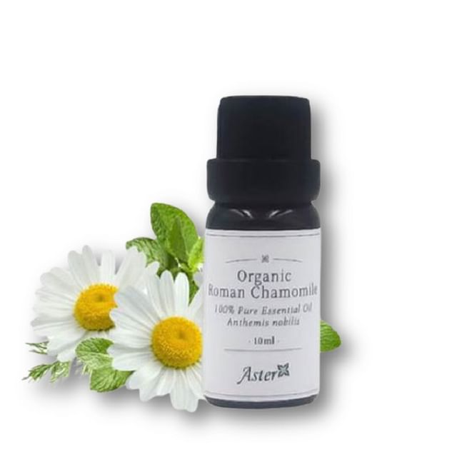 Aster Aroma-Organic Roman Chamomile Essential Oil