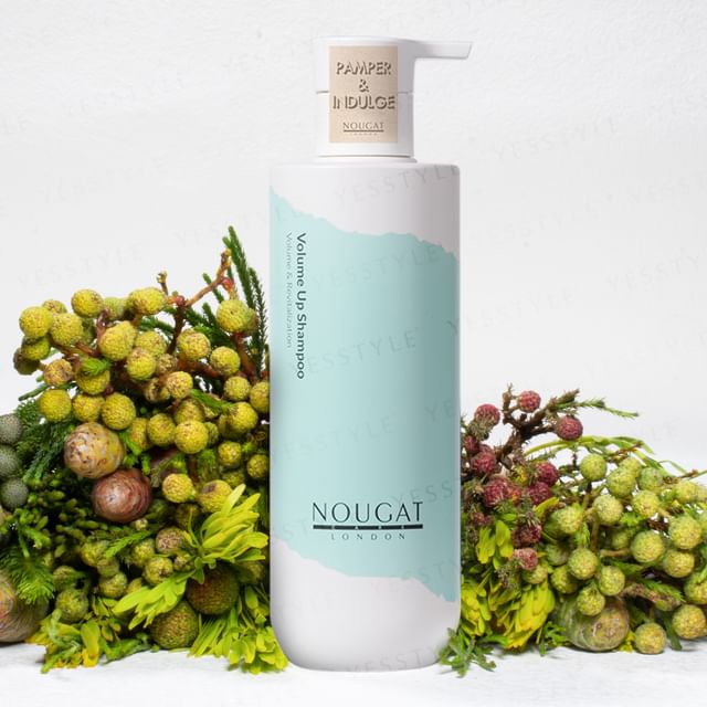 NOUGAT-Volume Up Shampoo