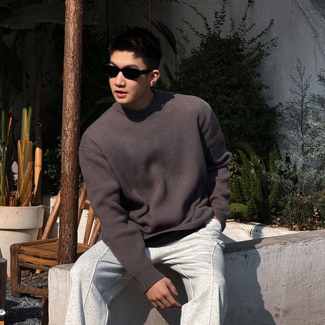 DragonRoad-Crew Neck Plain Ribbed Sweater