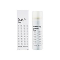 too cool for school - Perfect Day Make Up Fixer