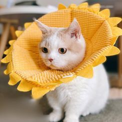Catland - Knit Animal Ear Pet Hat Catland - Knit Animal Ear Pet Hat