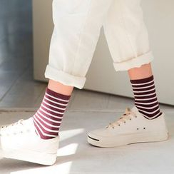 MOGLA - Striped Socks MOGLA - Striped Socks