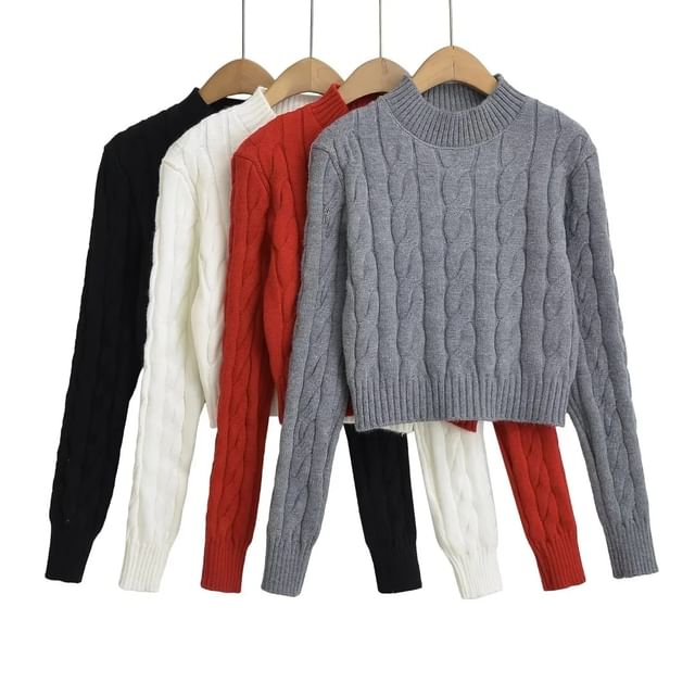 Asiris-Crew Neck Plain Cable Knit Crop Sweater