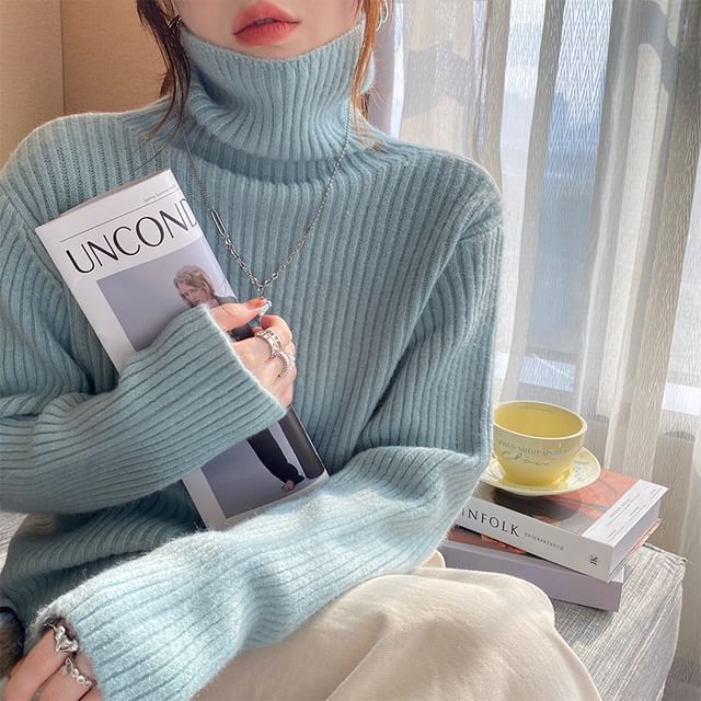 Gwendolyn-Turtleneck Plain Ribbed Sweater