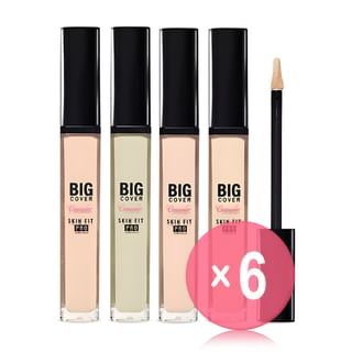 ETUDE - Big Cover Skin Fit Concealer Pro - 6 Colors (x6) (Bulk Box)