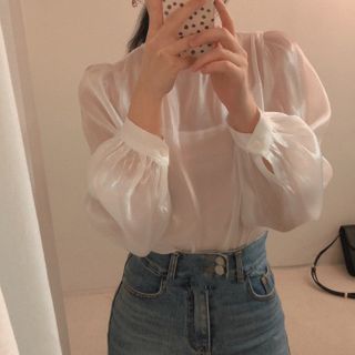 sheer iridescent top
