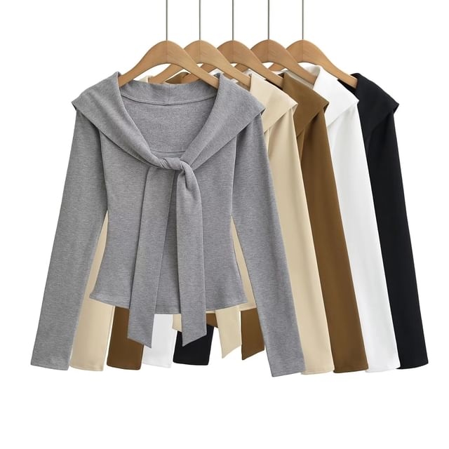 Asiris-Mock Two-Piece Long-Sleeve Plain Crop Top