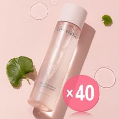 bewants - Cica Collagen Essence Toner (x40) (Bulk Box)