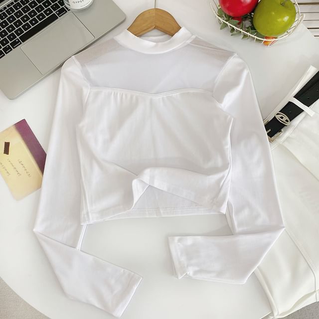 Iasia-Long-Sleeve High Neck Plain Mesh Top