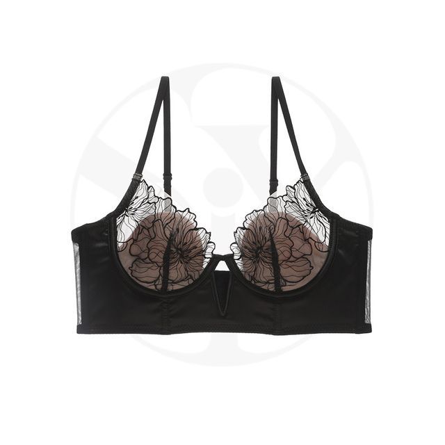 Floral Embroidered Panel Mesh Bra / Panty / Set