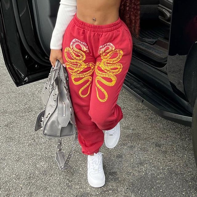 Hotarium - Low Rise Snake Print Sweatpants | YesStyle