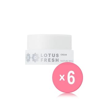 NATURE REPUBLIC - Lotus Fresh Cream (x6) (Bulk Box)