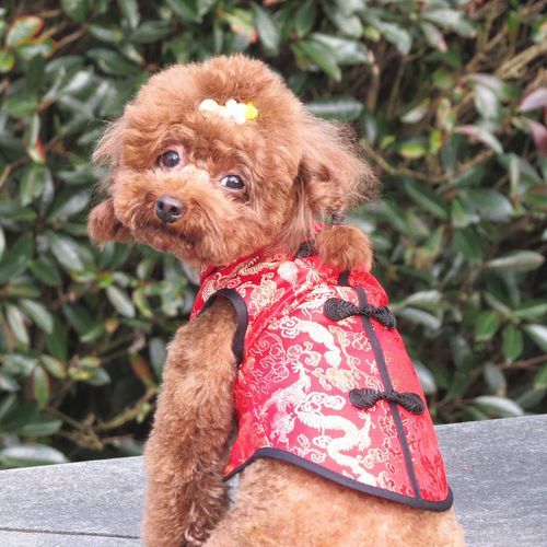 Dog cheongsam clearance