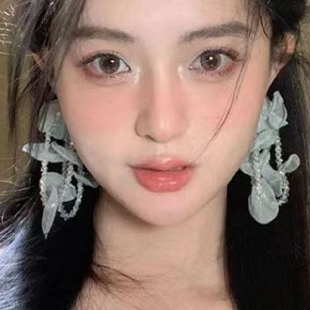 Chimerro-Beaded Mesh Drop Earring