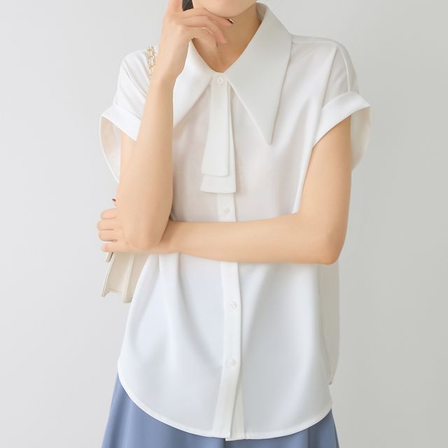 Everose-Cap-Sleeve Plain Chiffon Blouse
