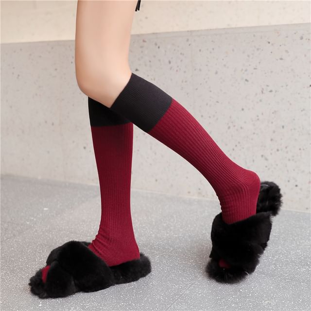 Gentiana-Two Tone Knee High Socks