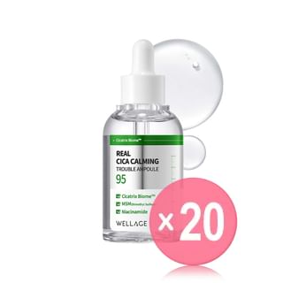 WELLAGE - Real Cica Calming 95 Trouble Ampoule (x20) (Bulk Box)