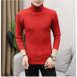YIKES-Turtleneck Plain Ribbed Sweater