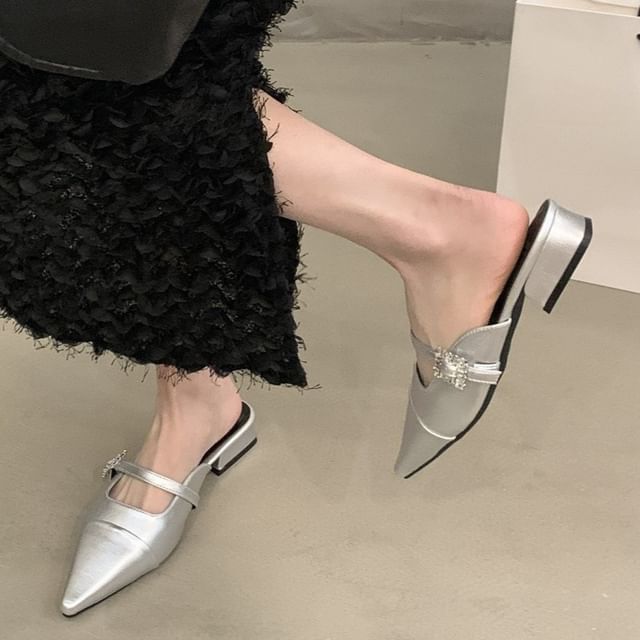 Karlao-Pointed Toe Buckled Chunky Heel Mules