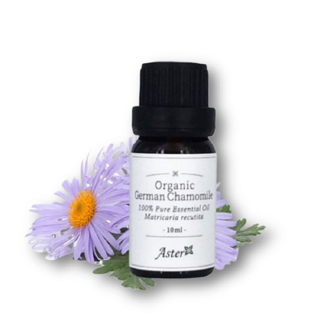 Aster Aroma-Organic Chamomile German Essential Oil