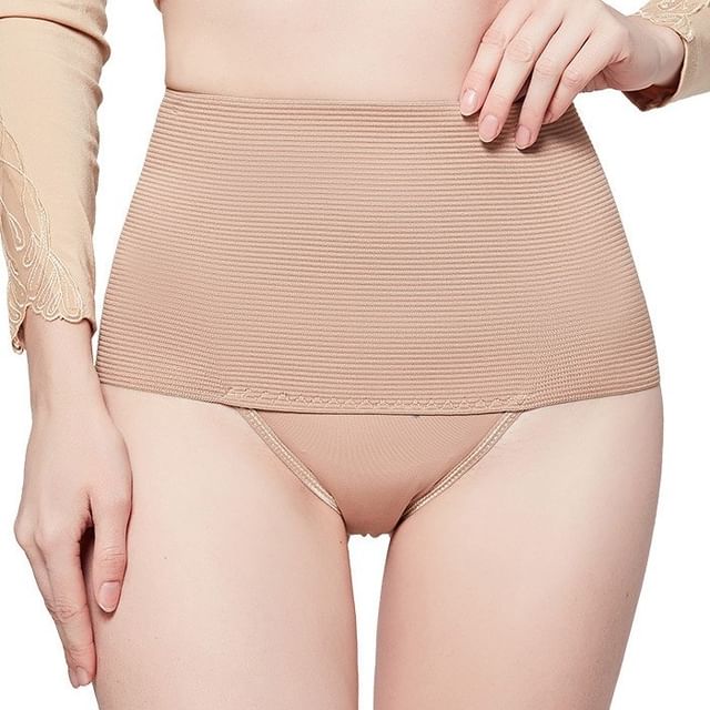 Croix-High Waist Paneled Shaping Panty